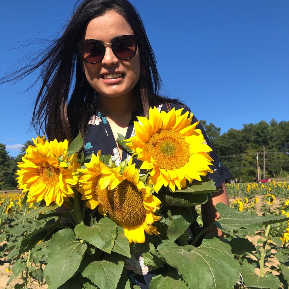 Meet your Posher, Sunami